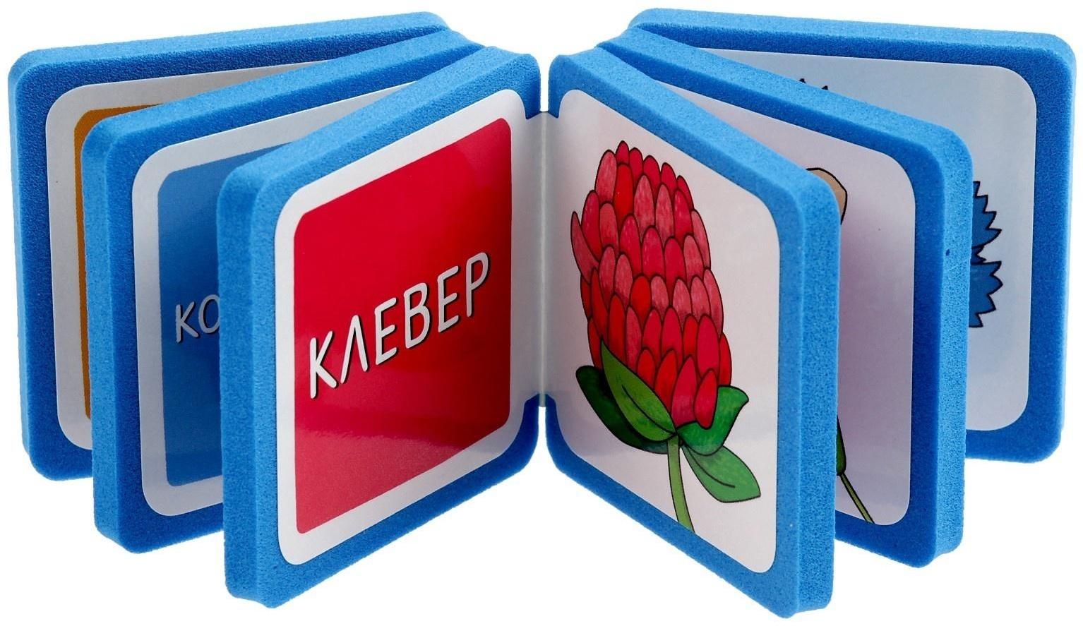 Мини-книжки. Что здесь растёт? На лугу