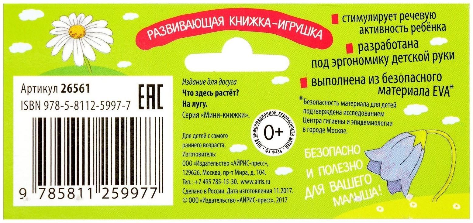 Мини-книжки. Что здесь растёт? На лугу