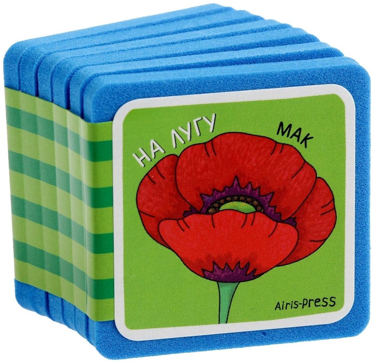 Мини-книжки. Что здесь растёт? На лугу