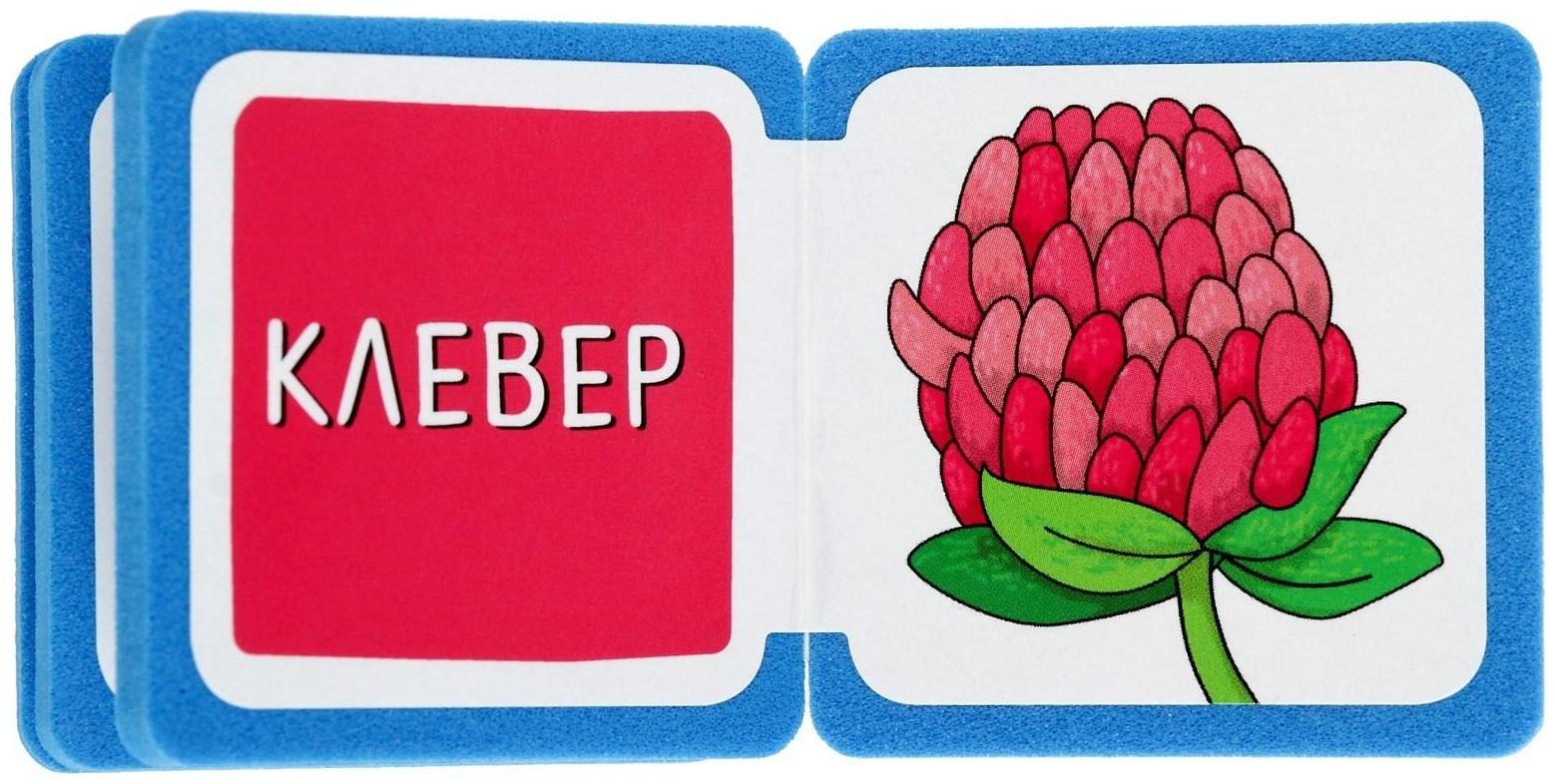 Мини-книжки. Что здесь растёт? На лугу