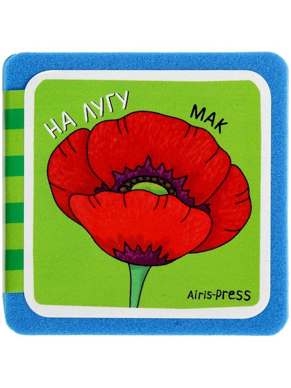 Мини-книжки. Что здесь растёт? На лугу