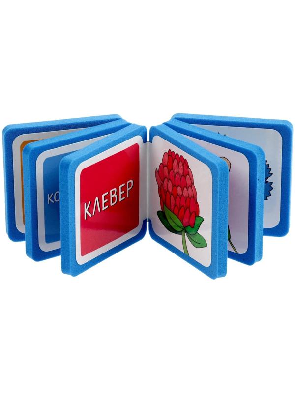 Мини-книжки. Что здесь растёт? На лугу