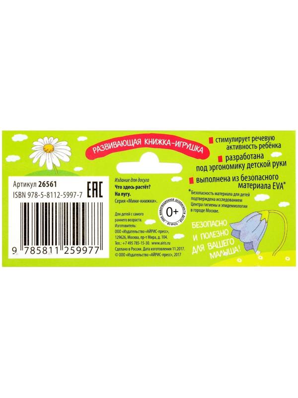 Мини-книжки. Что здесь растёт? На лугу