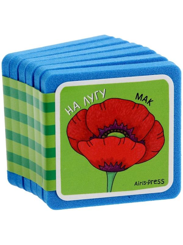 Мини-книжки. Что здесь растёт? На лугу