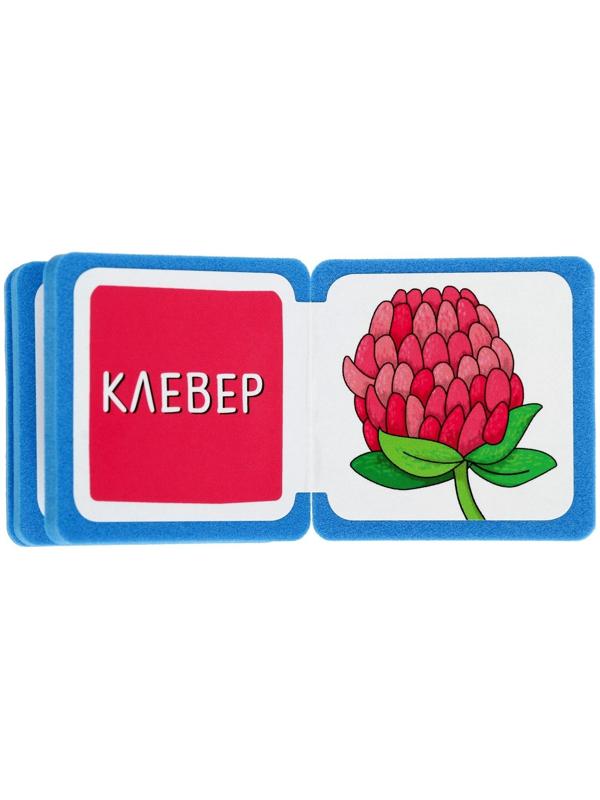 Мини-книжки. Что здесь растёт? На лугу