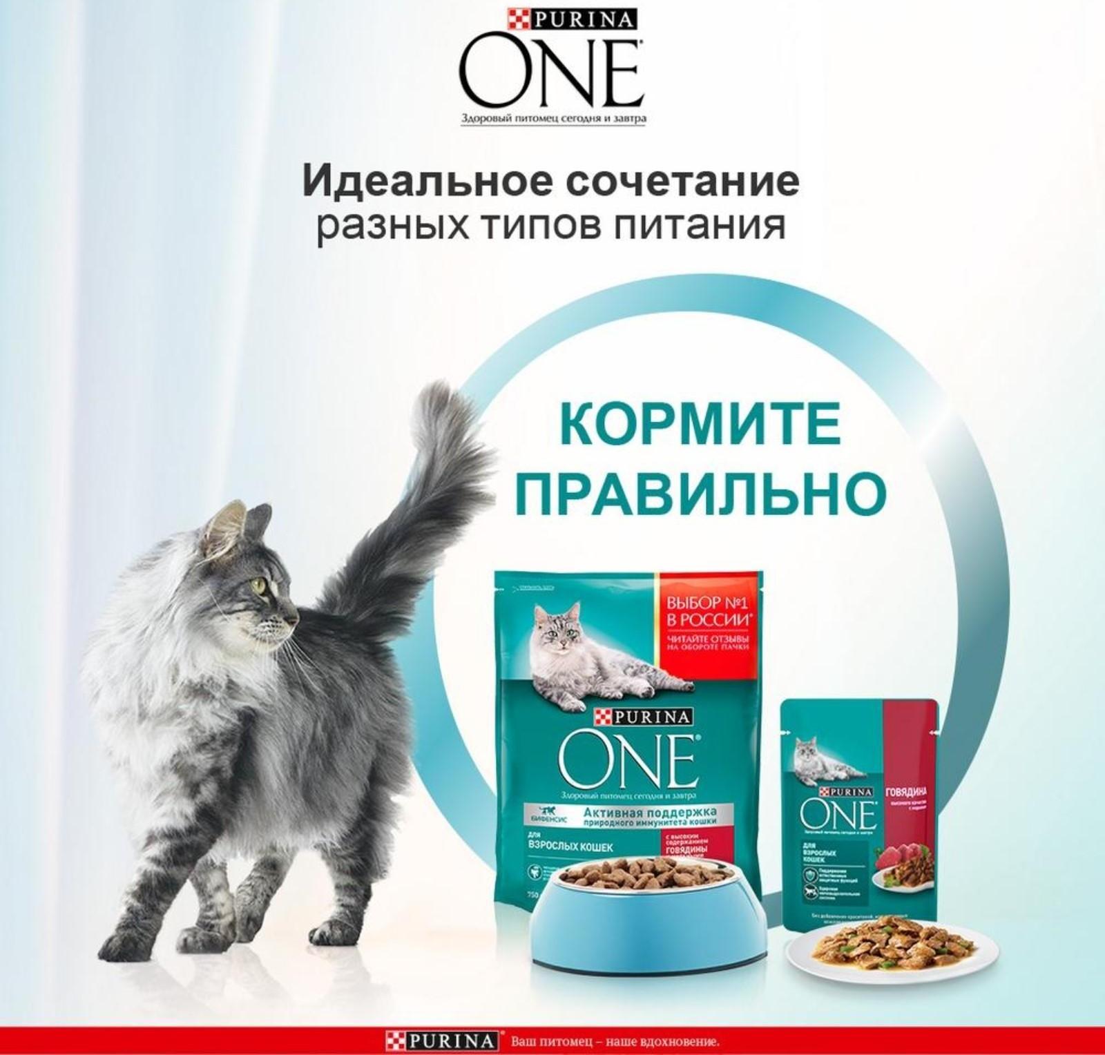 Сухой корм ONE для кошек, говядина с цельными злаками, 750 г