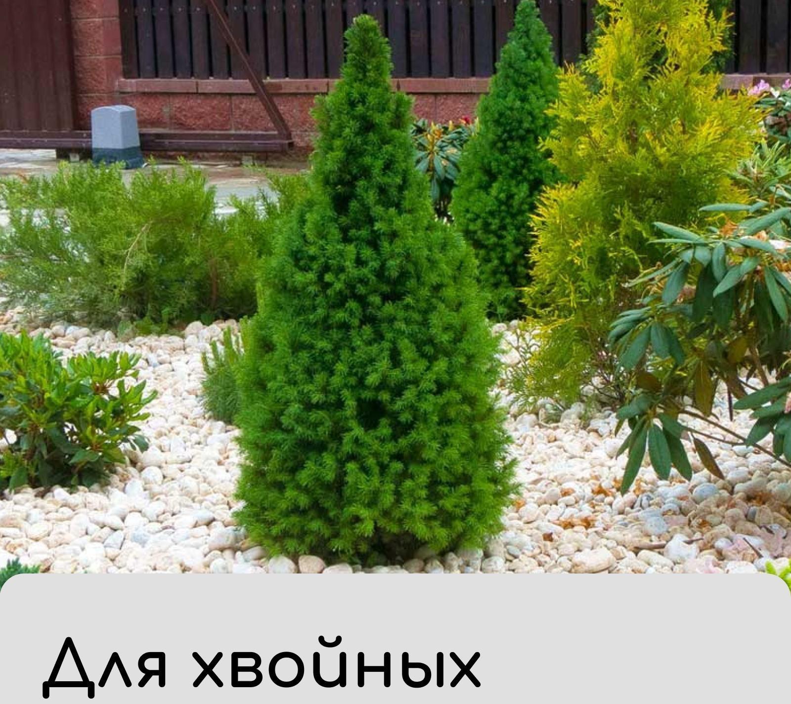 Чехол для укрытия растений «Барашек», 150 × 125 cм, плотность 60 г/м²