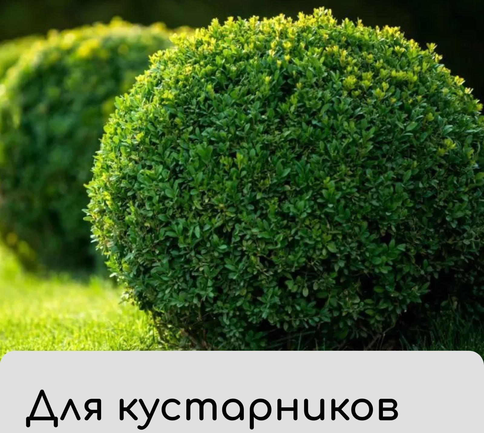 Чехол для укрытия растений «Барашек», 150 × 125 cм, плотность 60 г/м²