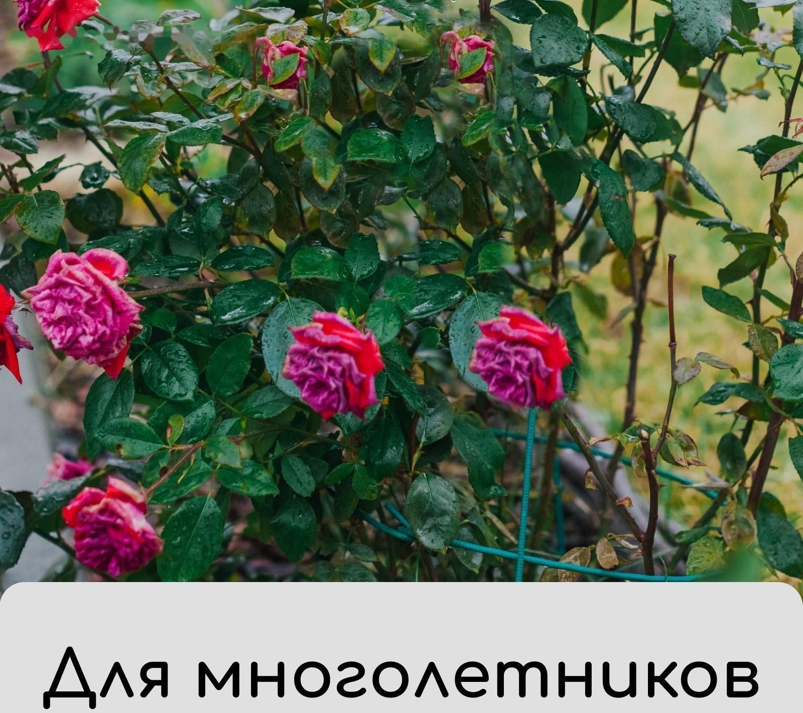 Чехол для укрытия растений «Барашек», 150 × 125 cм, плотность 60 г/м²