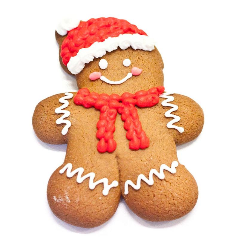 Пряник имбирно-медовый Человечек  14смx11см 85г, НГ арт.2133