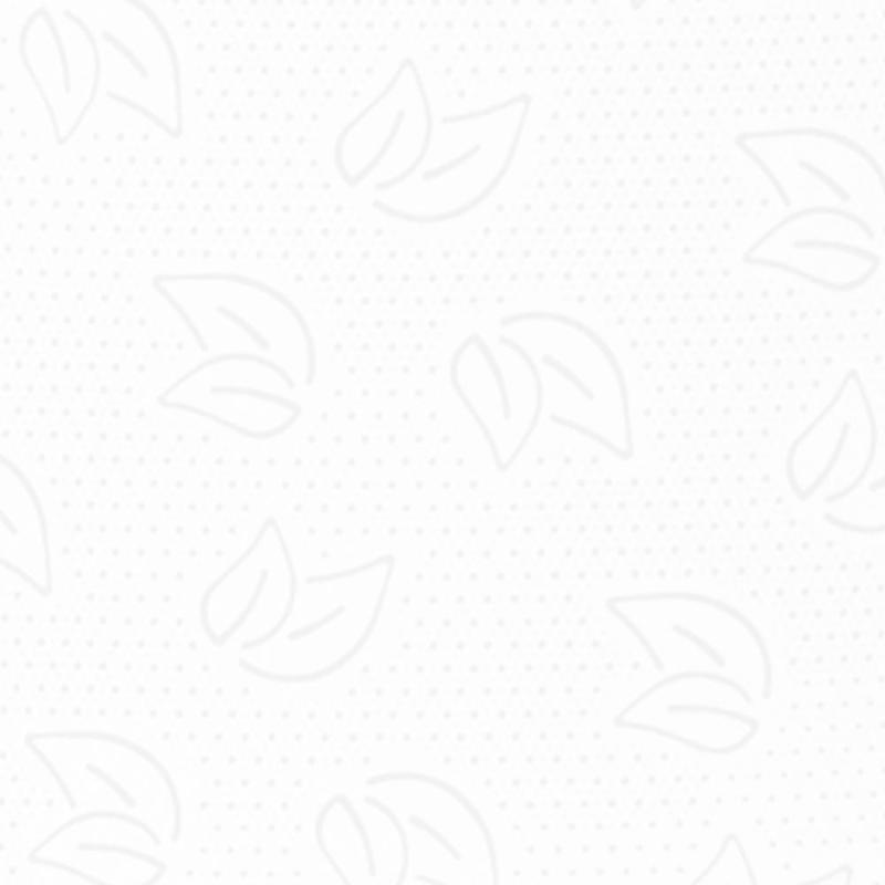 Бумага туалетная д/дисп Protissue ЦВ 2сл 112м 12рул/уп С-367