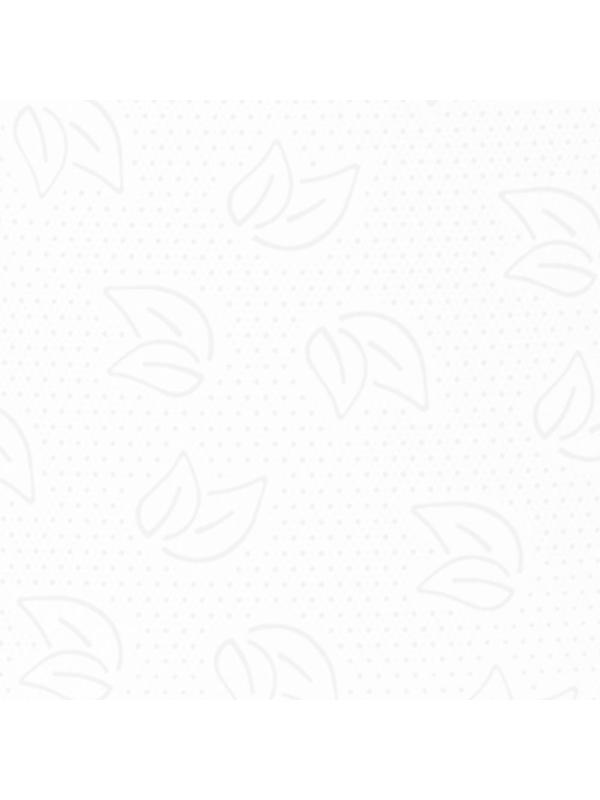 Бумага туалетная д/дисп Protissue ЦВ 2сл 112м 12рул/уп С-367