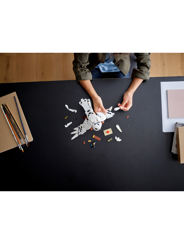 Конструктор «Букля» 13039 (Harry Potter 75979) / 630 деталей