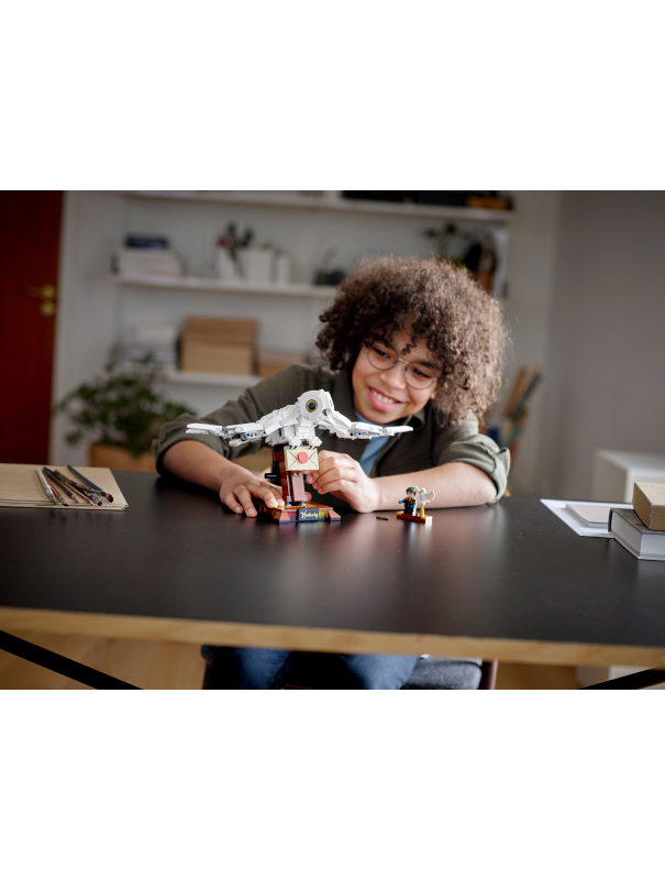 Конструктор «Букля» 13039 (Harry Potter 75979) / 630 деталей