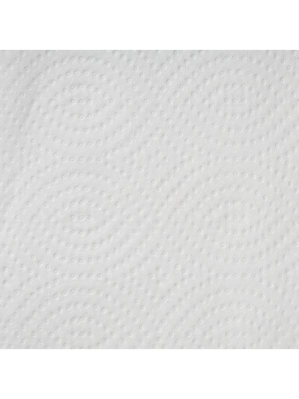 Бумага туалетная д/дисп Premium V-сл 2сл бел 100% цел 250л 30пач/уп 5049979