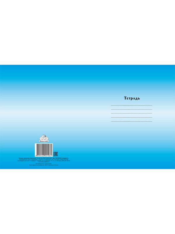 Тетрадь школьная А5,12л,линия Градиент, 5цветов ТШ12К6183