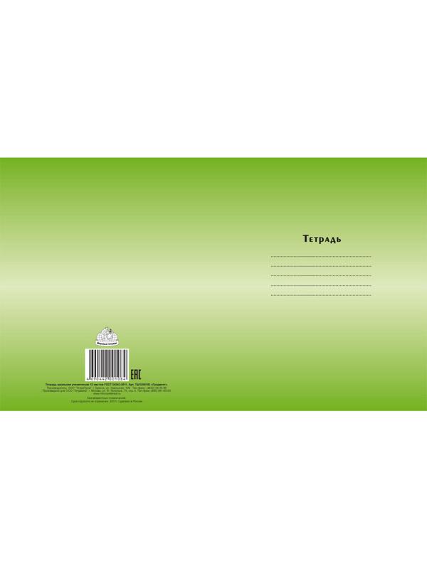 Тетрадь школьная А5,12л,линия Градиент, 5цветов ТШ12К6183