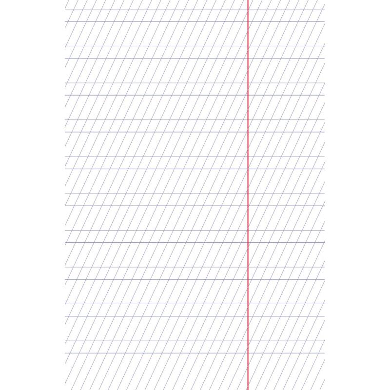 Тетрадь школьная А5 12л,част.косая линия,Premium,бл.80г Панда-Тетрадь067212