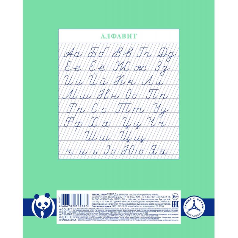 Тетрадь школьная А5 12л,част.косая линия,Premium,бл.80г Панда-Тетрадь067212