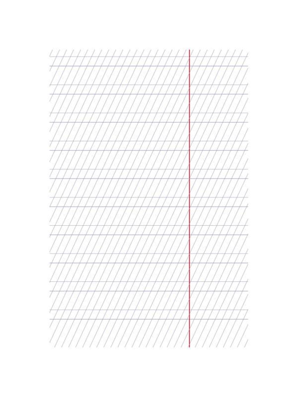 Тетрадь школьная А5 12л,част.косая линия,Premium,бл.80г Панда-Тетрадь067212