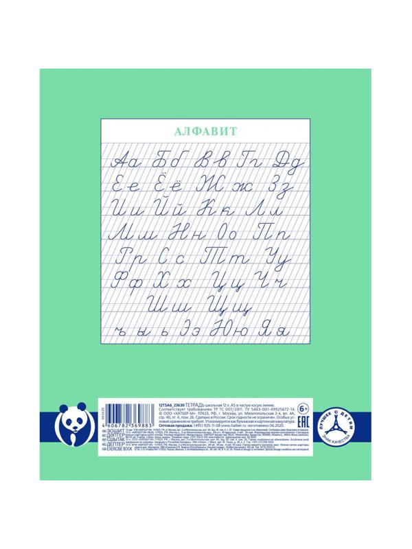 Тетрадь школьная А5 12л,част.косая линия,Premium,бл.80г Панда-Тетрадь067212