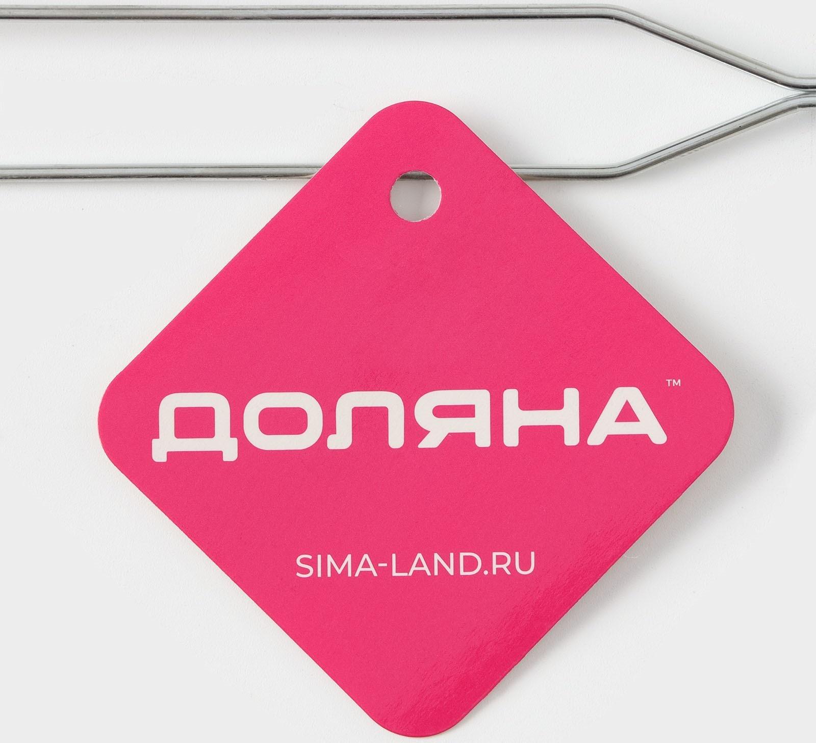 Сито с ручкой Доляна «Помощник», d=14 см