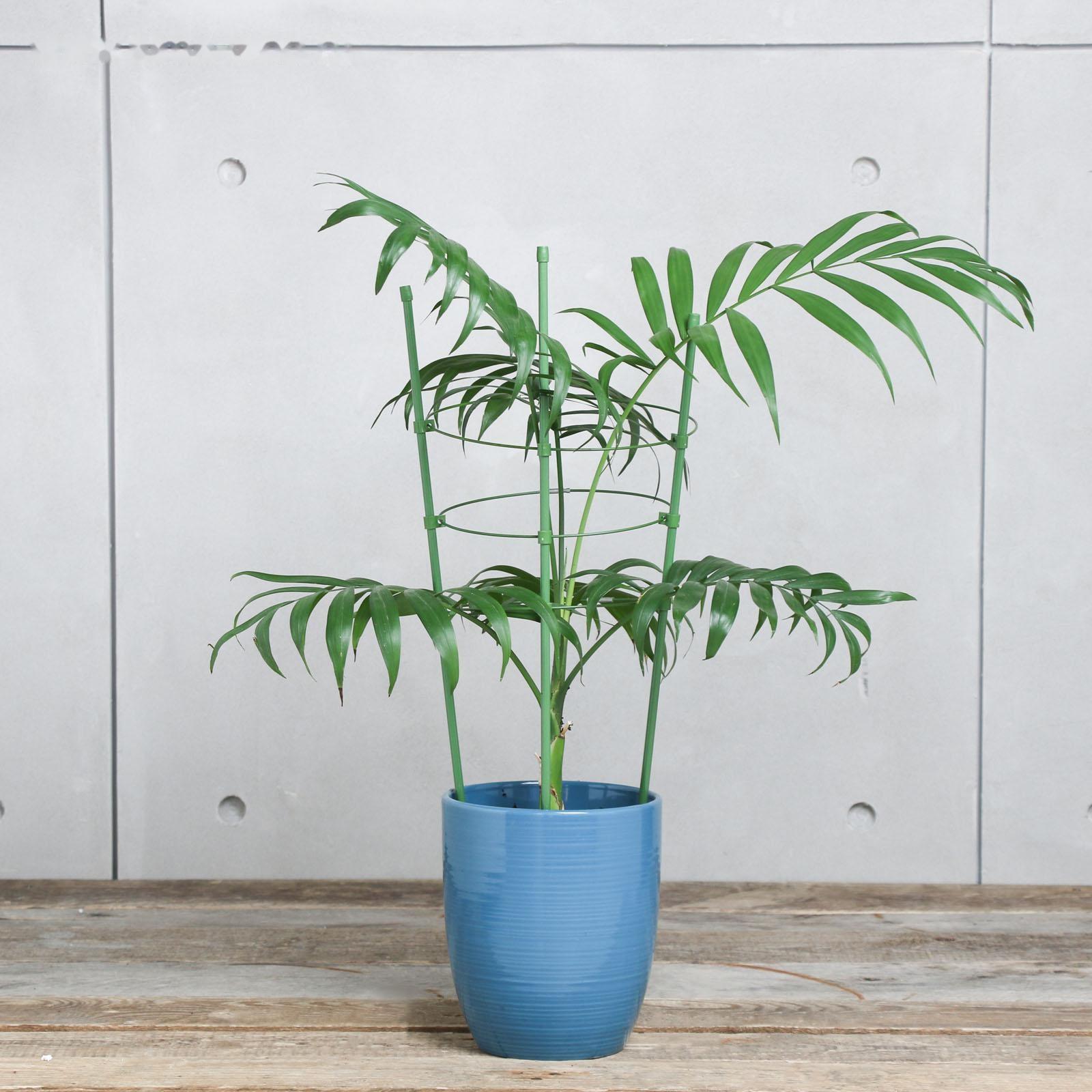 Кустодержатель, d = 15–17–19 см, h = 44 см, металл, зелёный