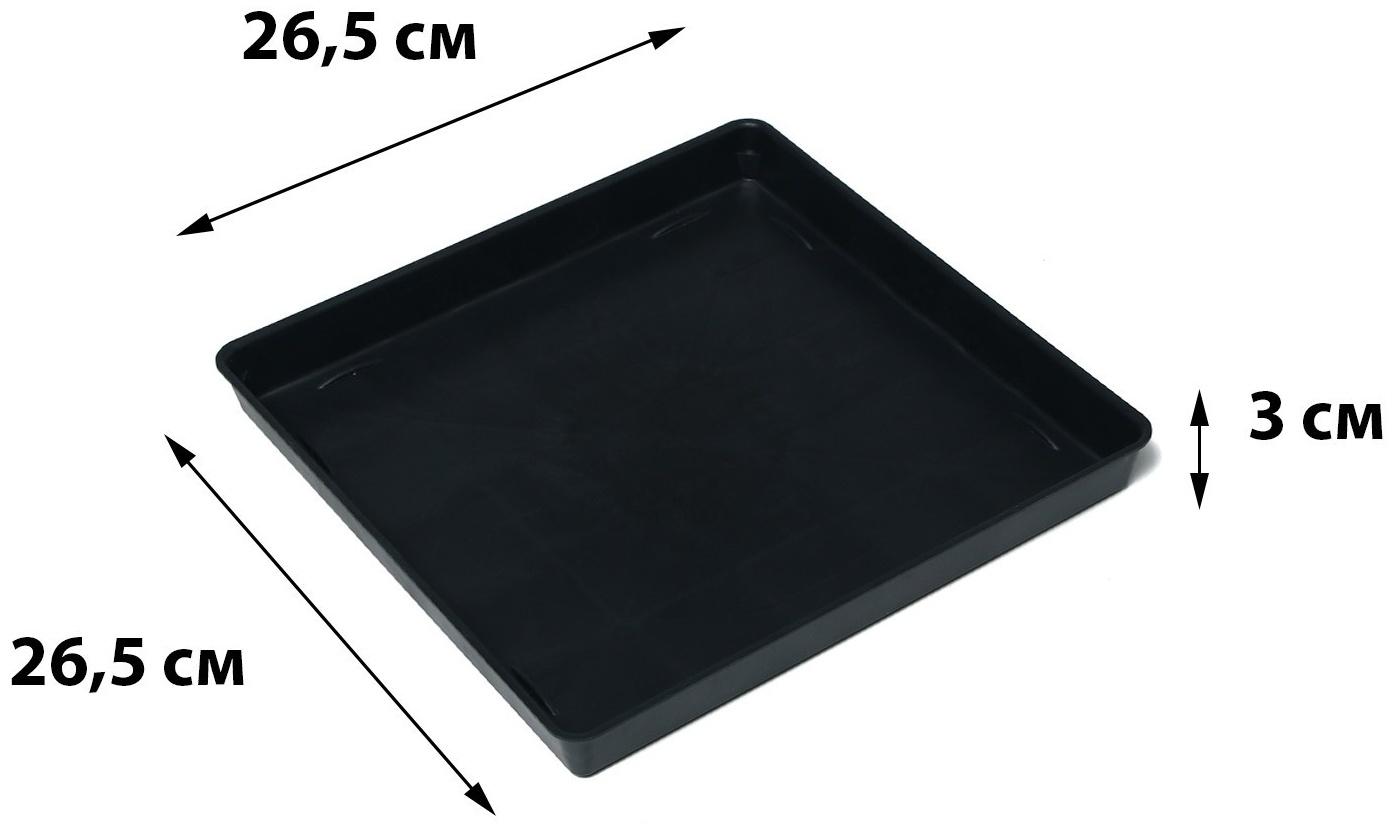 Поддон для рассады, 26.6 × 26.5 × 3 см, пластик, чёрный