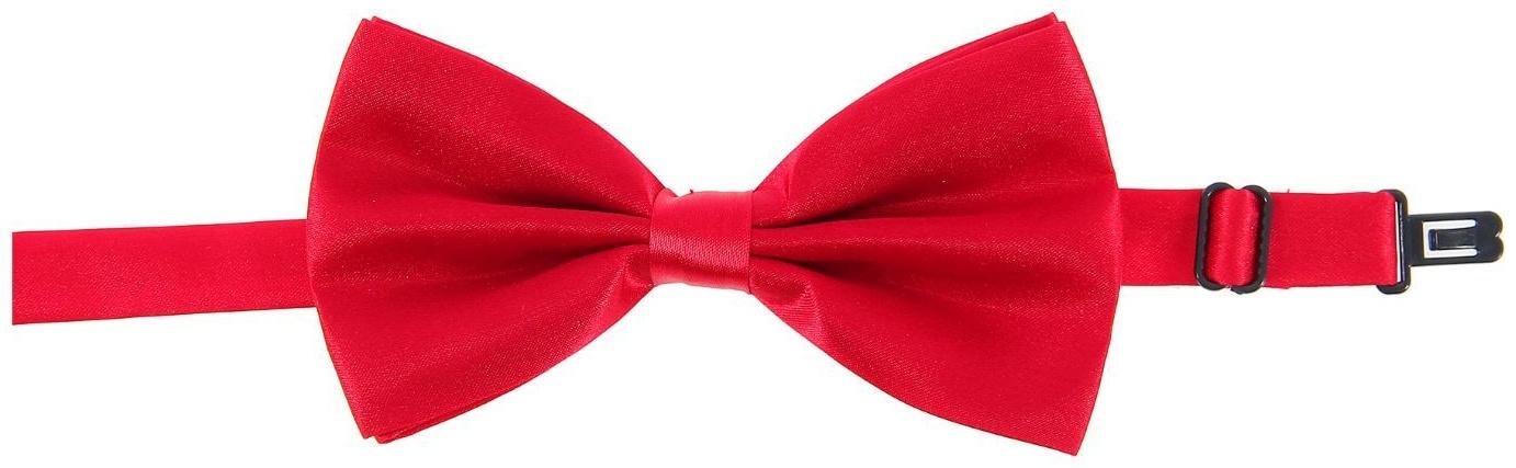 Карнавальная бабочка, цвет малиновый