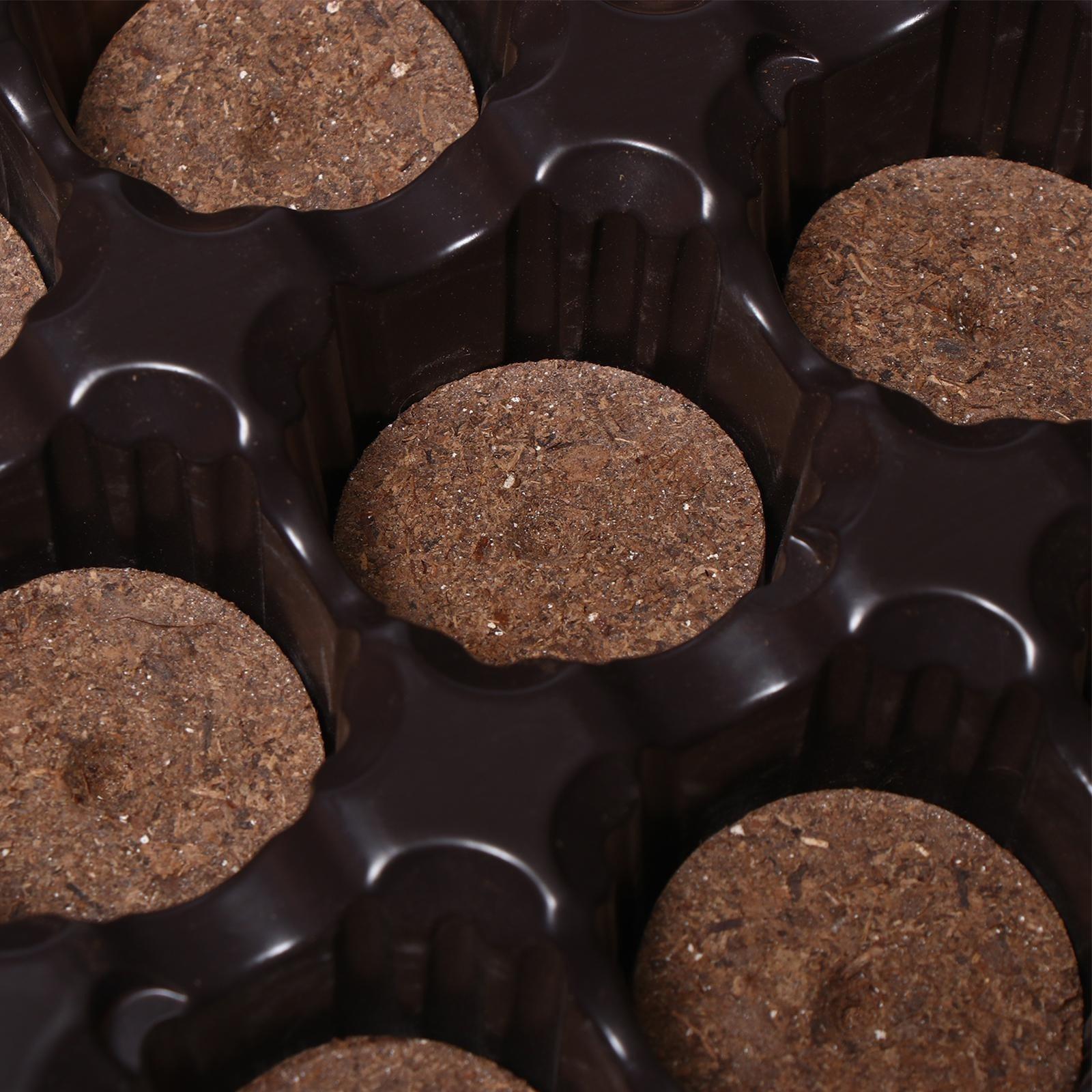 Набор для рассады: торфяная таблетка d = 4.1 см (12 шт.), кассета на 12 ячеек по 50 мл, поддон, зелёный