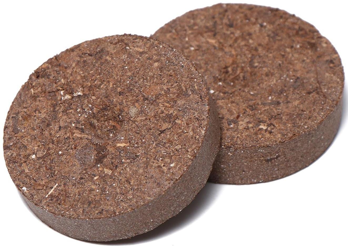 Набор для рассады: торфяная таблетка d = 4.1 см (12 шт.), кассета на 12 ячеек по 50 мл, поддон, зелёный