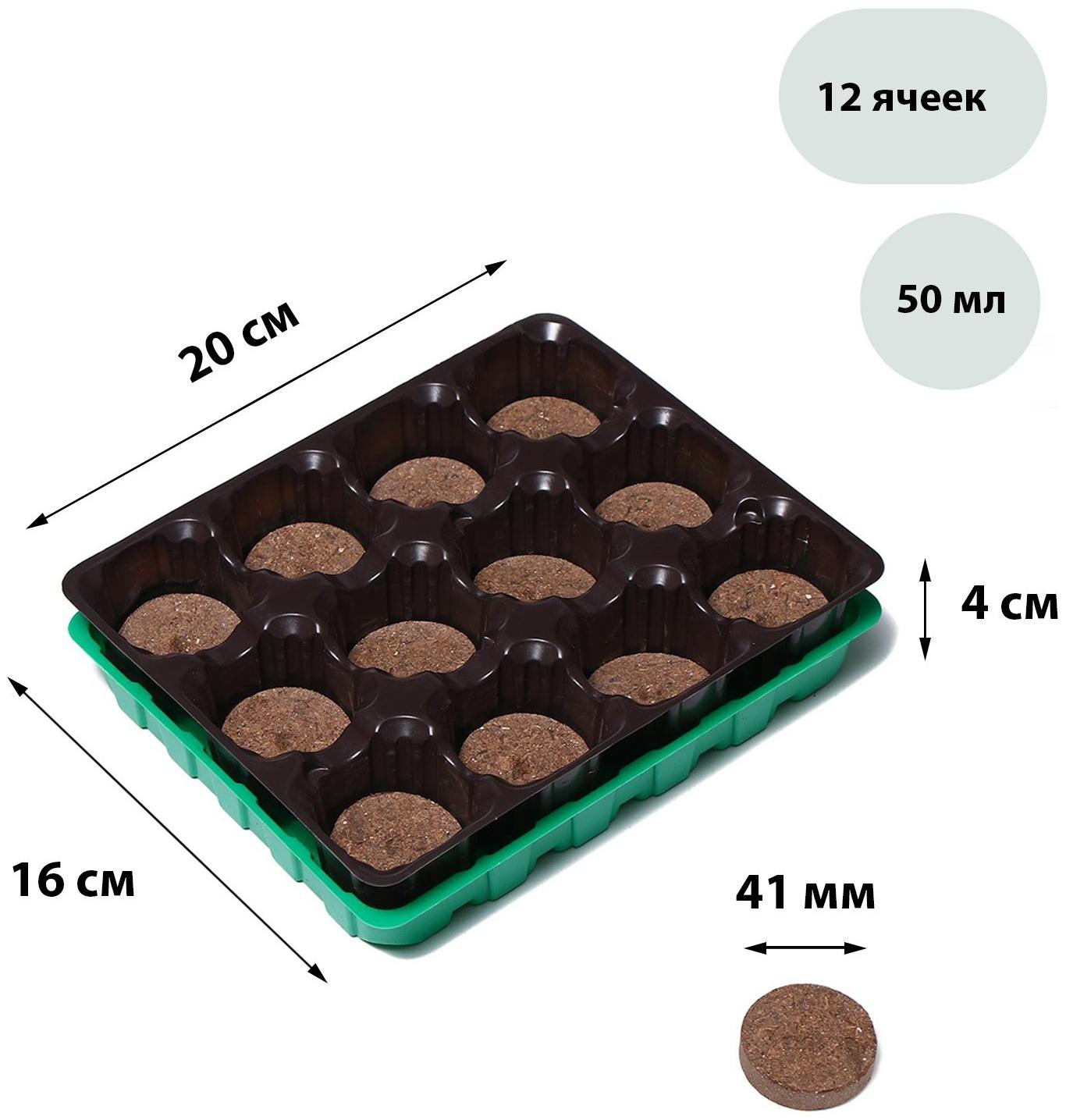 Набор для рассады: торфяная таблетка d = 4.1 см (12 шт.), кассета на 12 ячеек по 50 мл, поддон, зелёный