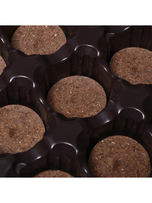 Набор для рассады: торфяная таблетка d = 4.1 см (12 шт.), кассета на 12 ячеек по 50 мл, поддон, зелёный