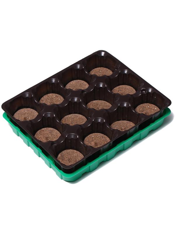 Набор для рассады: торфяная таблетка d = 4.1 см (12 шт.), кассета на 12 ячеек по 50 мл, поддон, зелёный
