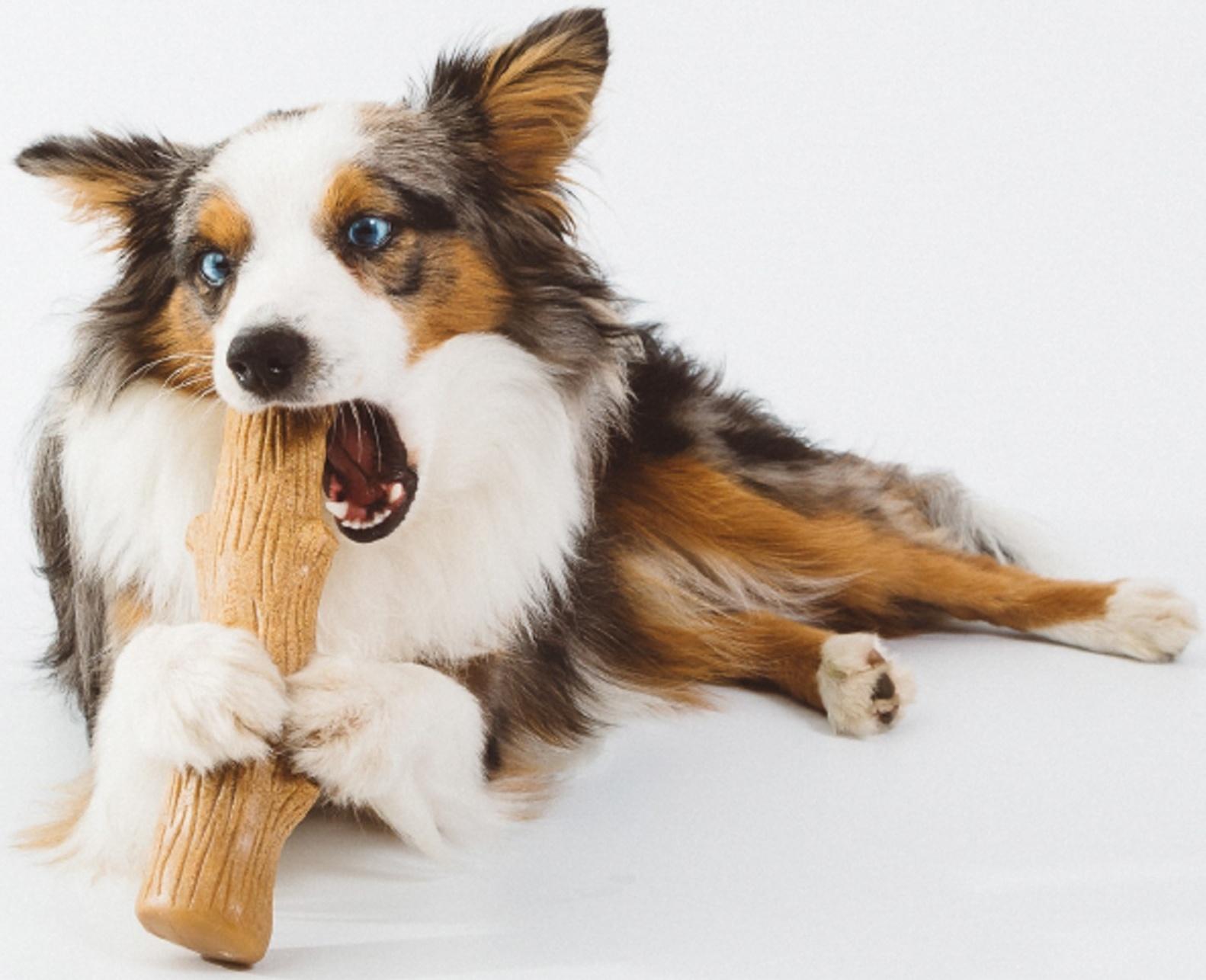 Игрушка Petstages Dogwood для собак,  палочка деревянная, большая