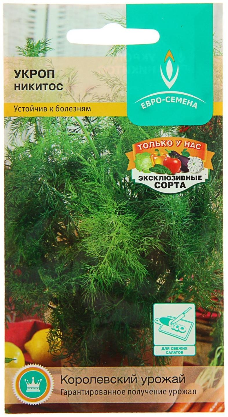 Семена Укроп 