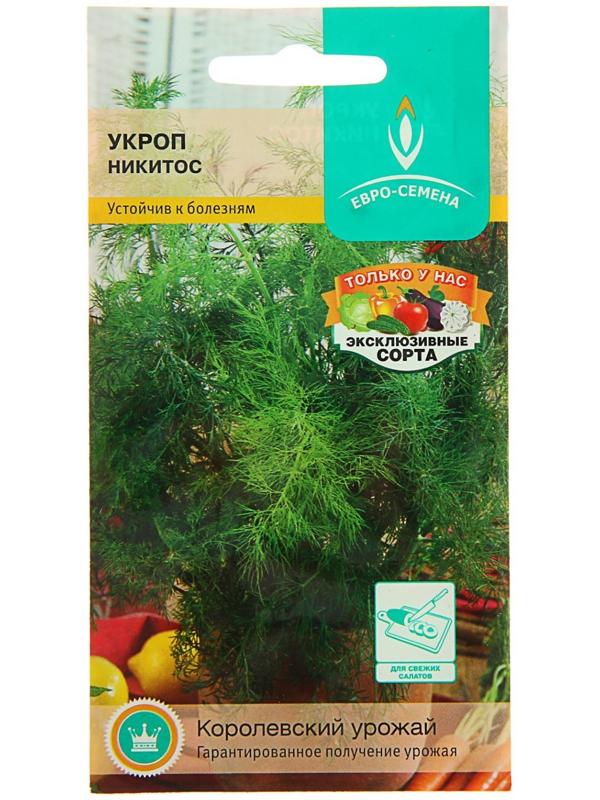 Семена Укроп 