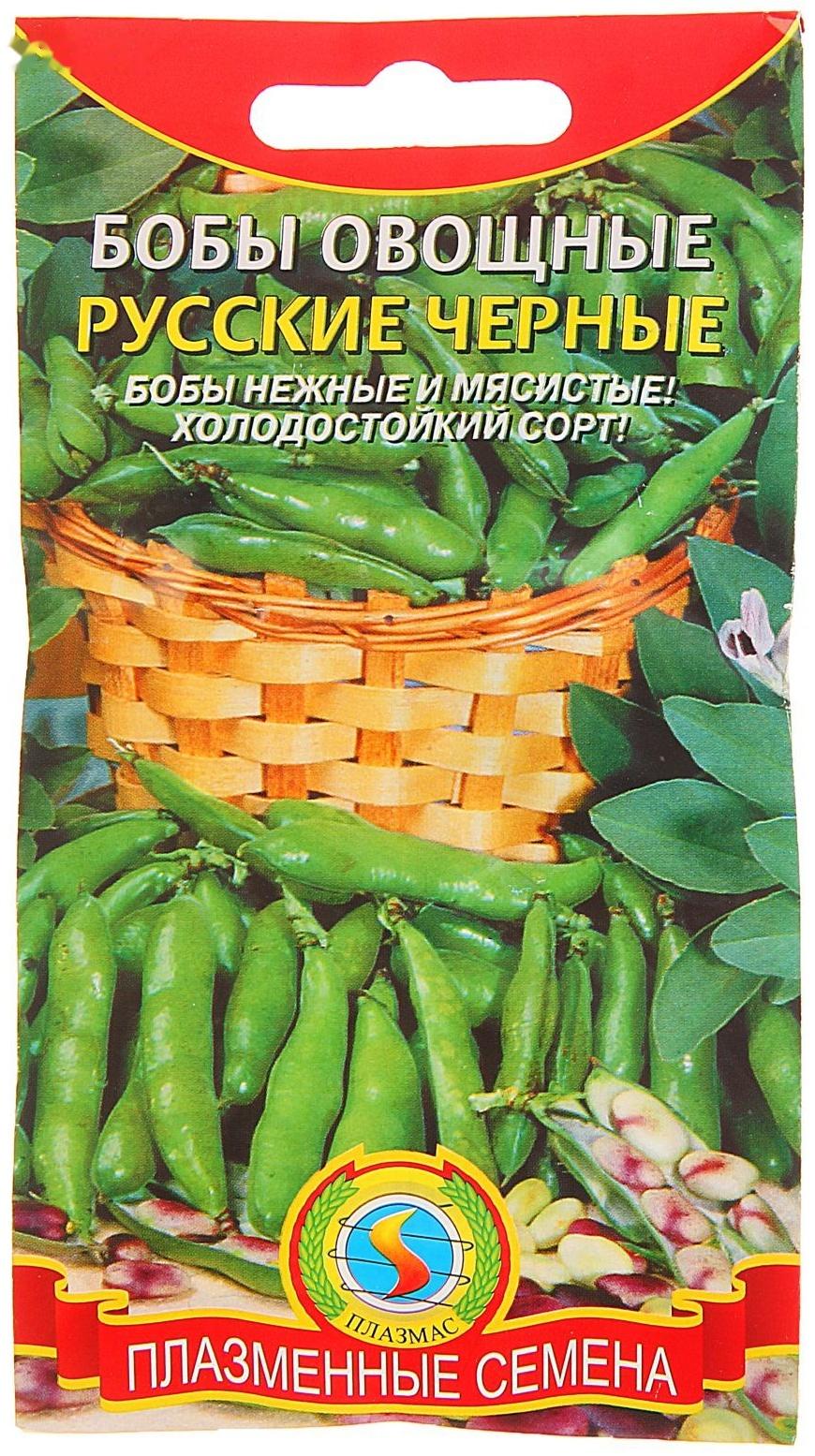 Семена Бобы 