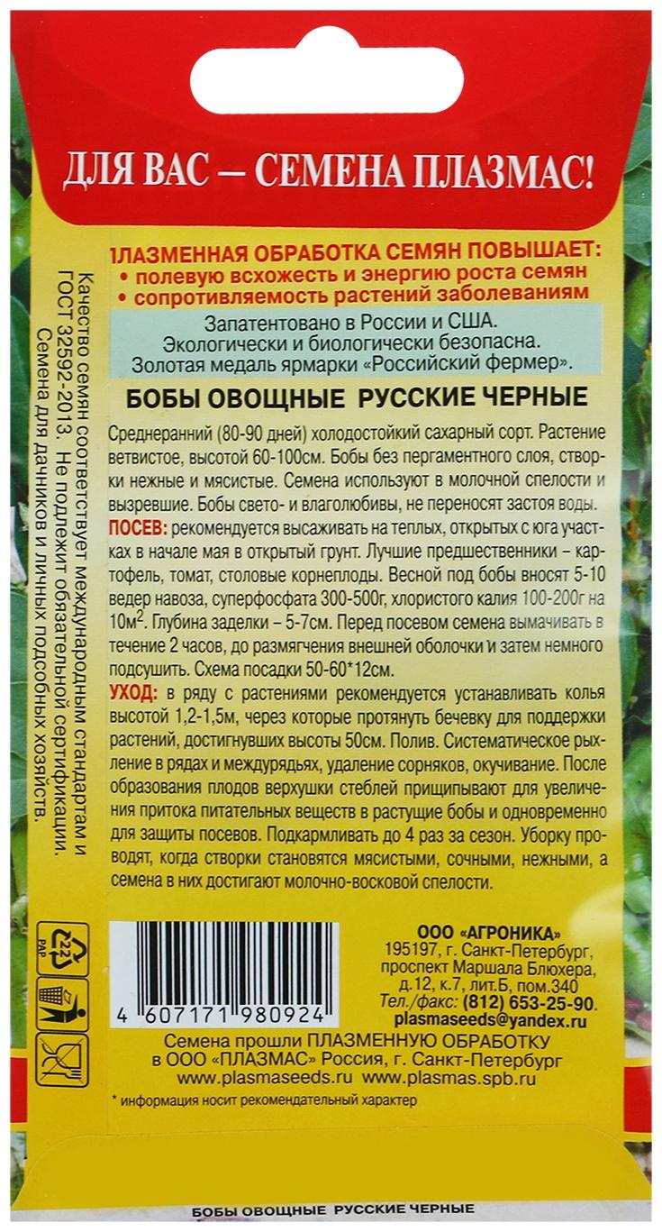 Семена Бобы 