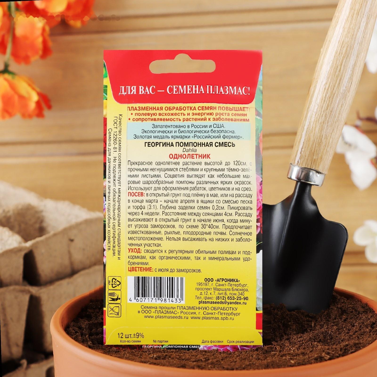 Семена Георгина махровая 