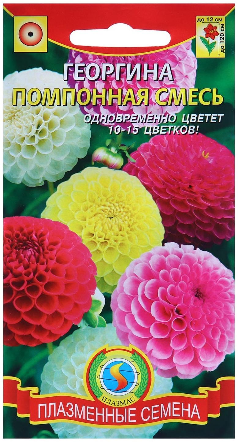 Семена Георгина махровая 