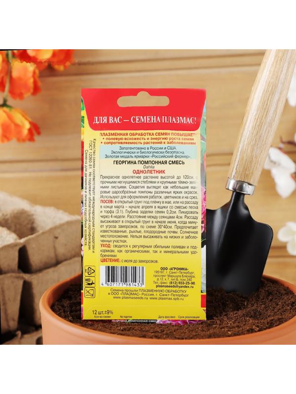 Семена Георгина махровая 