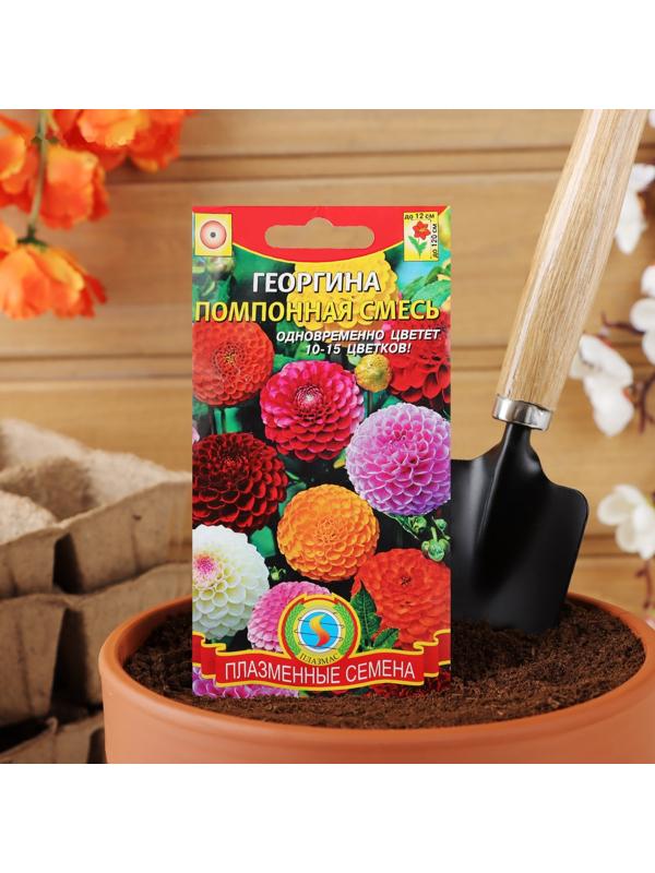 Семена Георгина махровая 