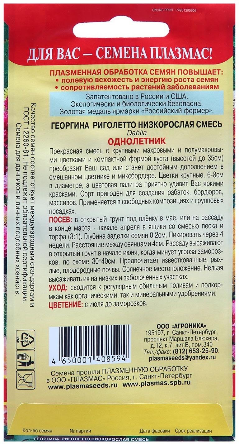 Семена Георгина низкорослая 