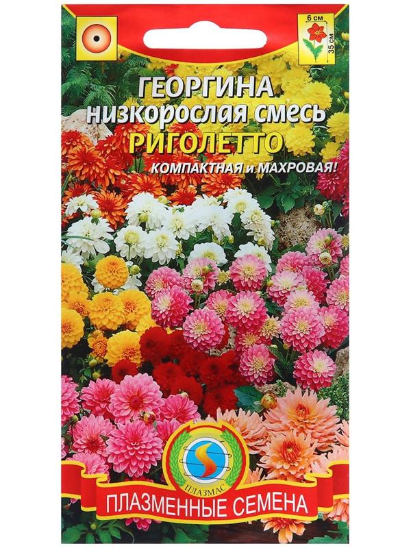 Семена Георгина низкорослая 