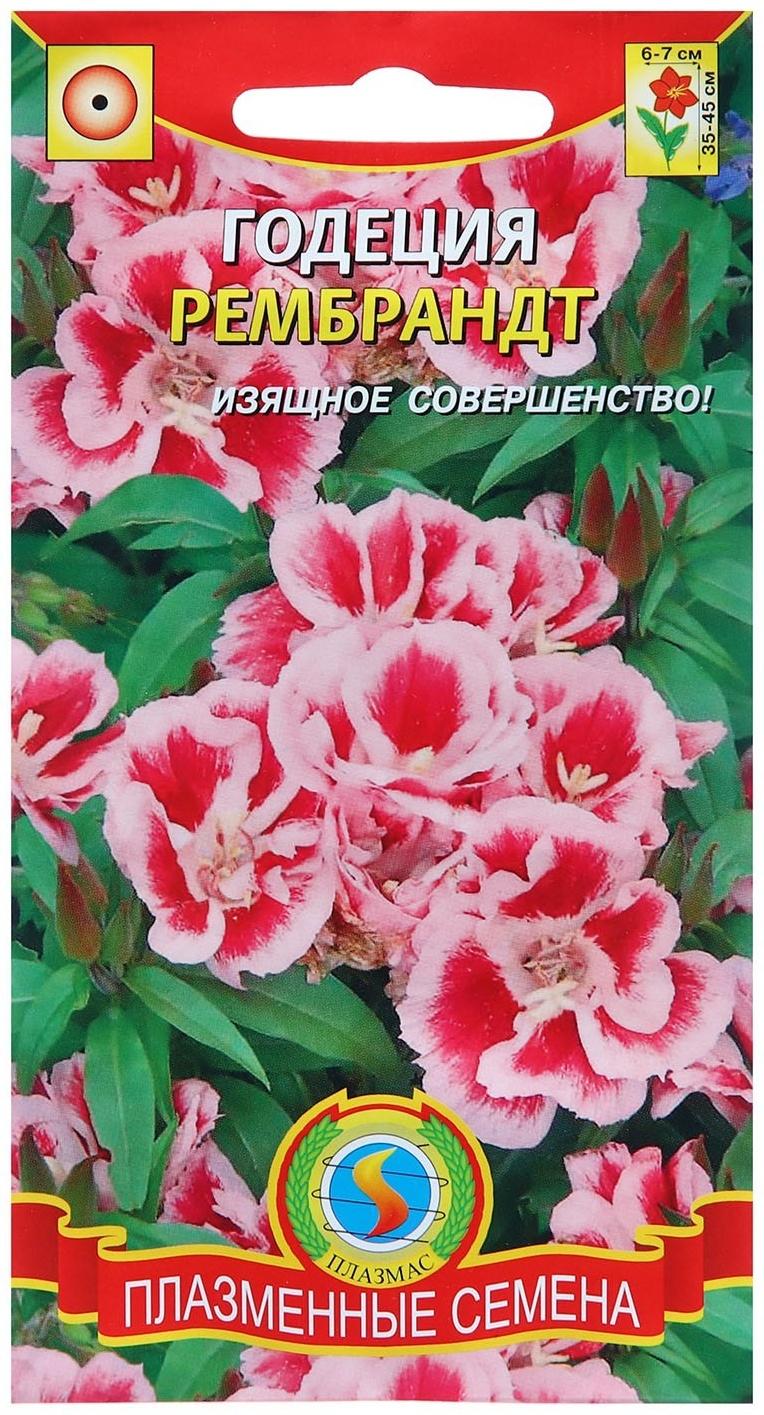 Семена Годеция 