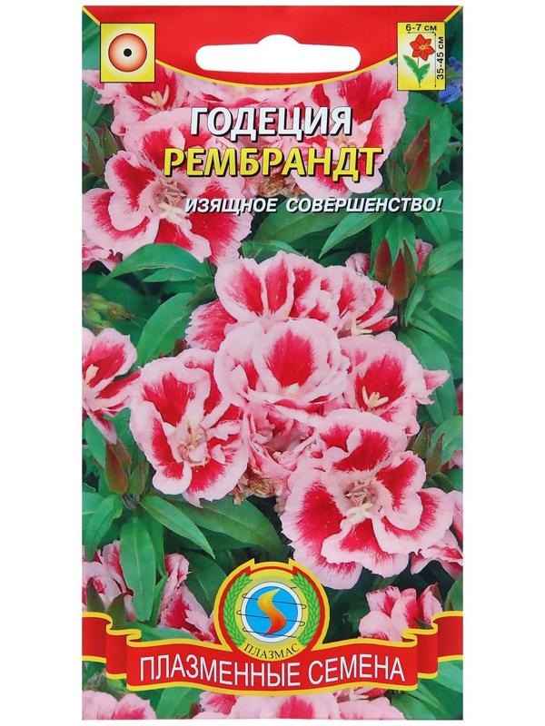 Семена Годеция 