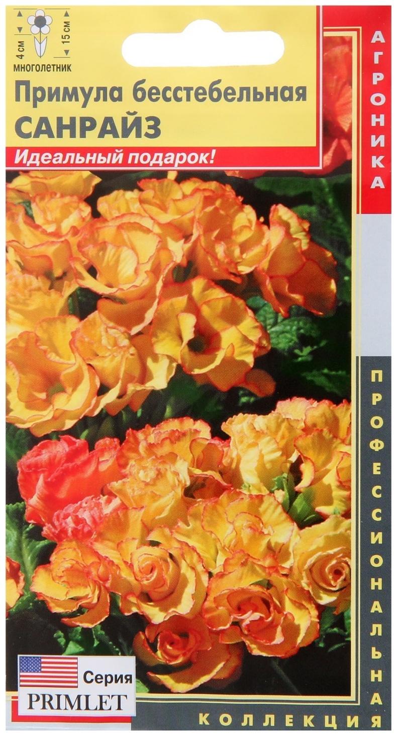 Семена Примула бесстебельная 