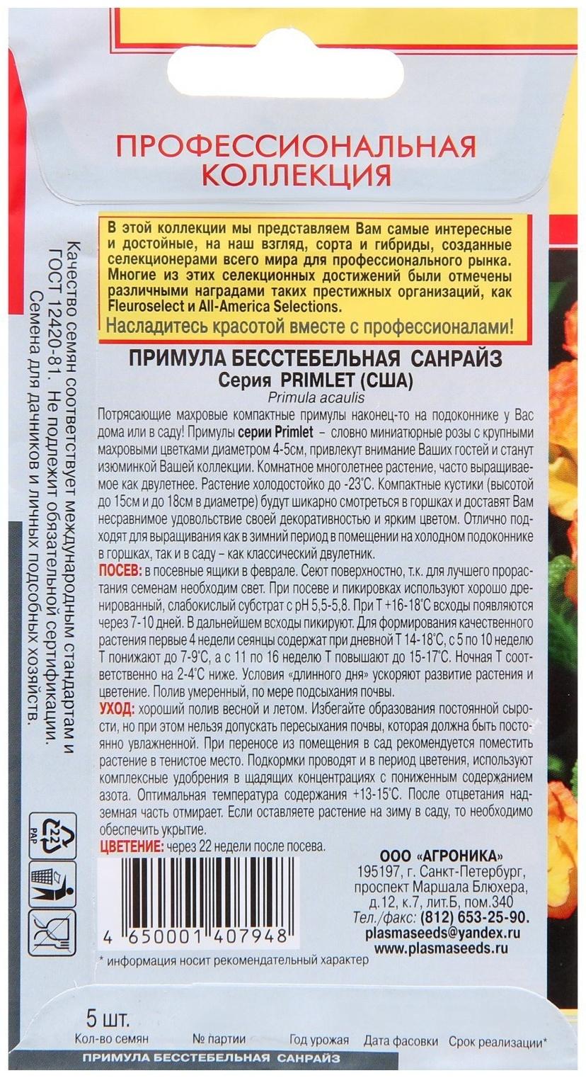 Семена Примула бесстебельная 