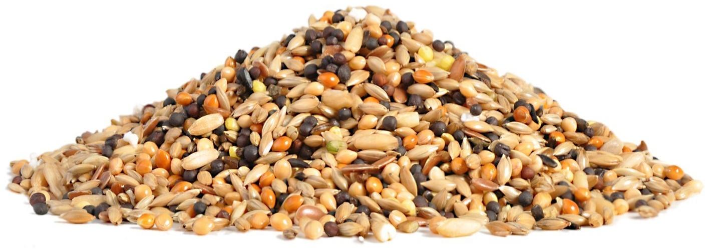 Корм RIO для канареек, 1 кг